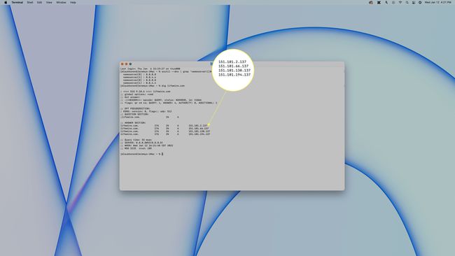 IP-information som visas i Terminal på macOS.
