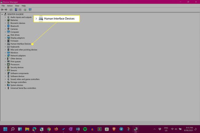Windows 11 Enhetshanteraren med mänskliga gränssnittsenheter markerad