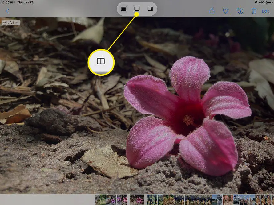 iPad Notes-app med Split View markerad i Multitasking-menyn